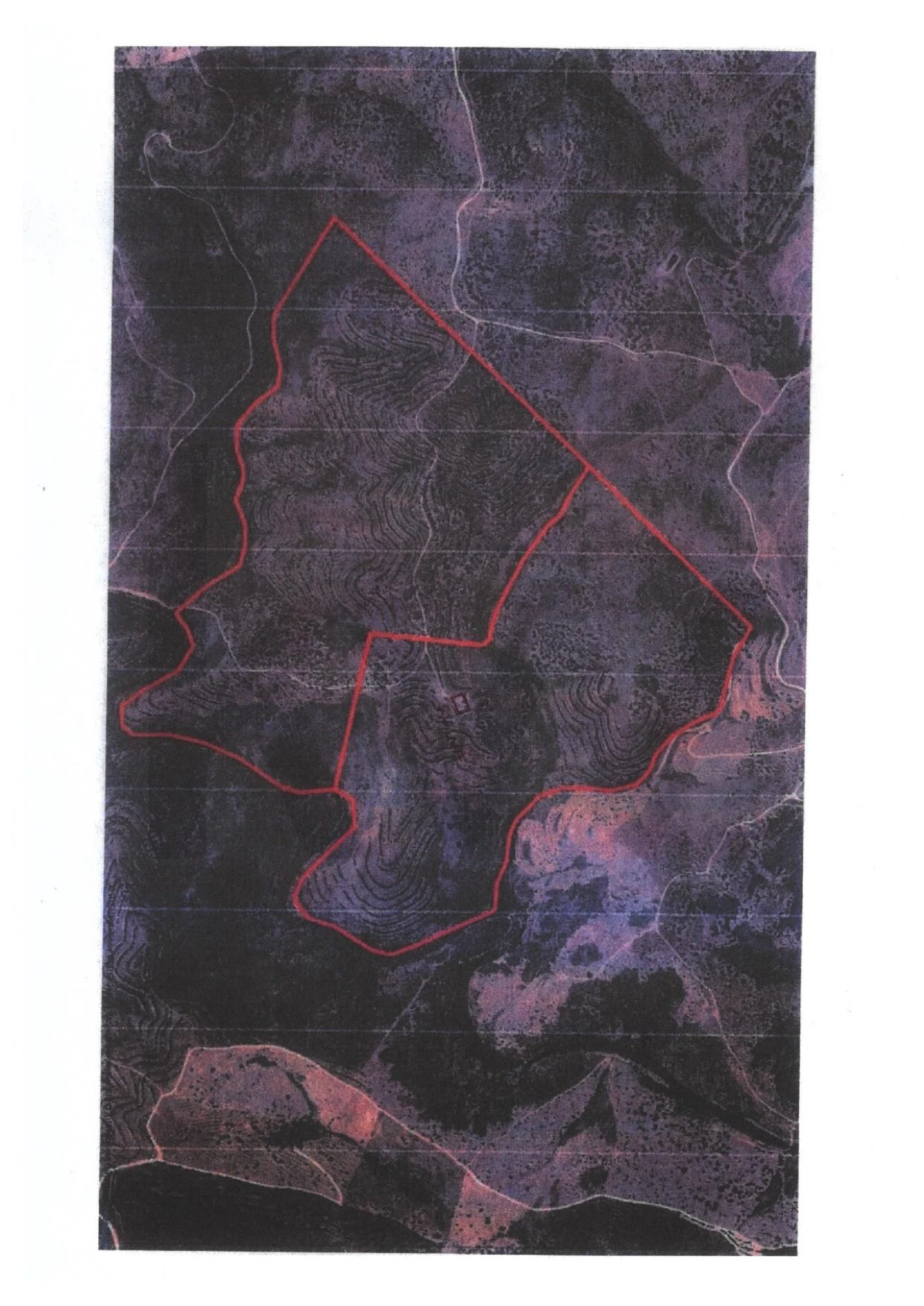 Quinta T5 para Venda em Cachopo Foto 44