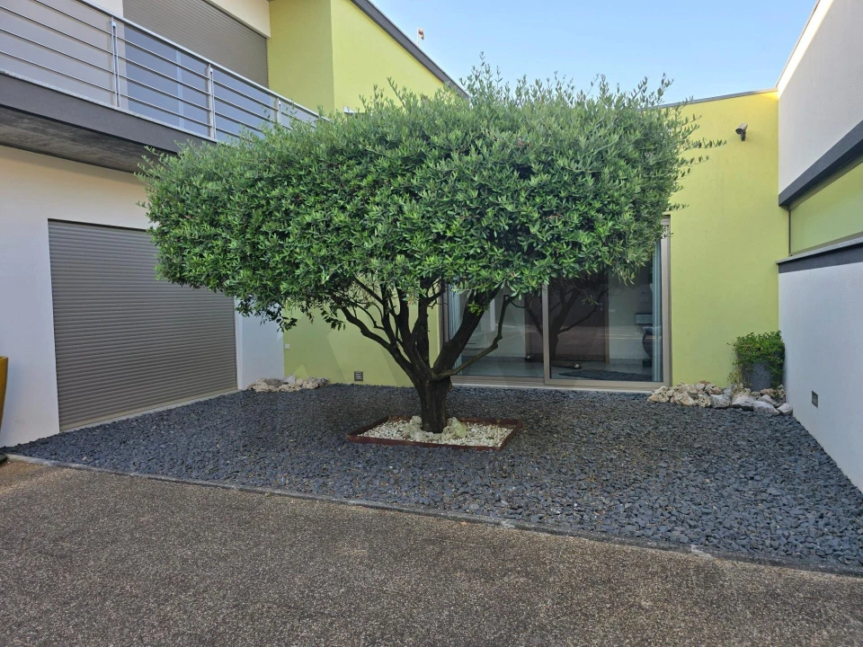 Moradia T5 para Venda em Oliveira do Bairro Foto 67