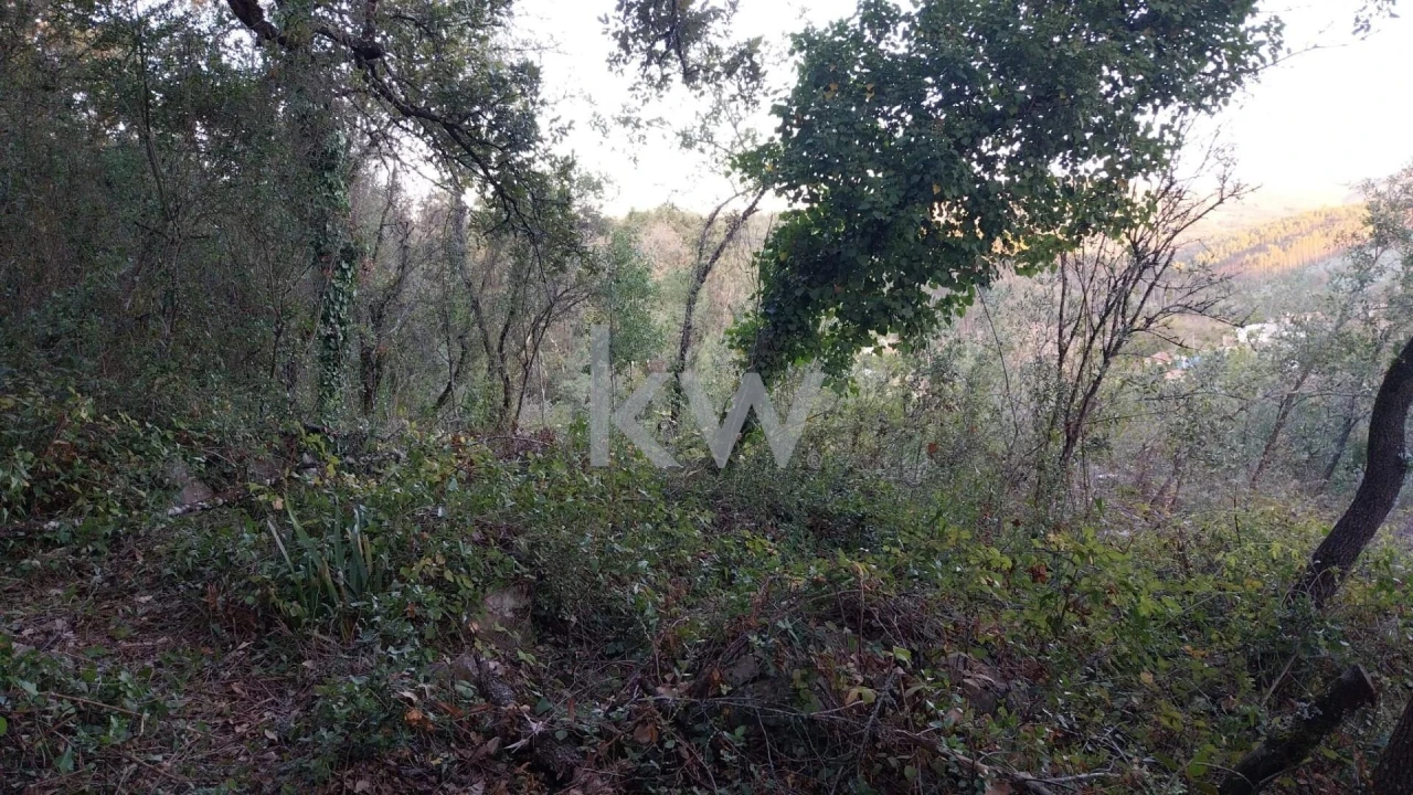 Terreno para Venda em São Miguel, Santa Eufémia e Rabaçal Foto 8