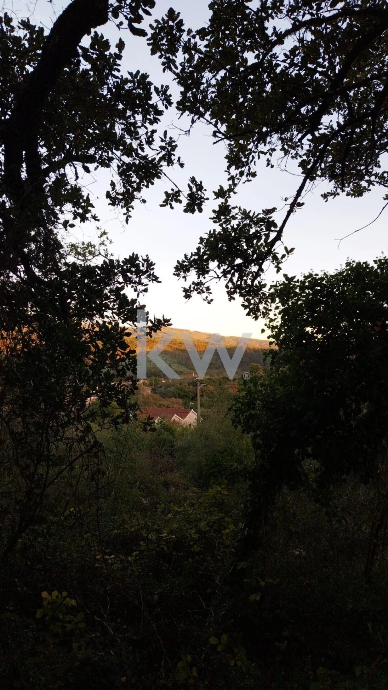 Terreno para Venda em São Miguel, Santa Eufémia e Rabaçal Foto 15