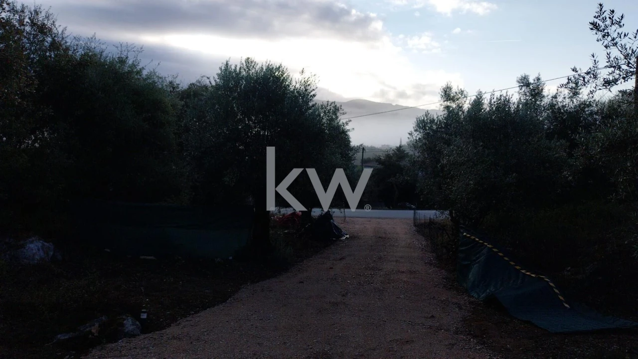 Terreno para Venda em São Miguel, Santa Eufémia e Rabaçal Foto 4