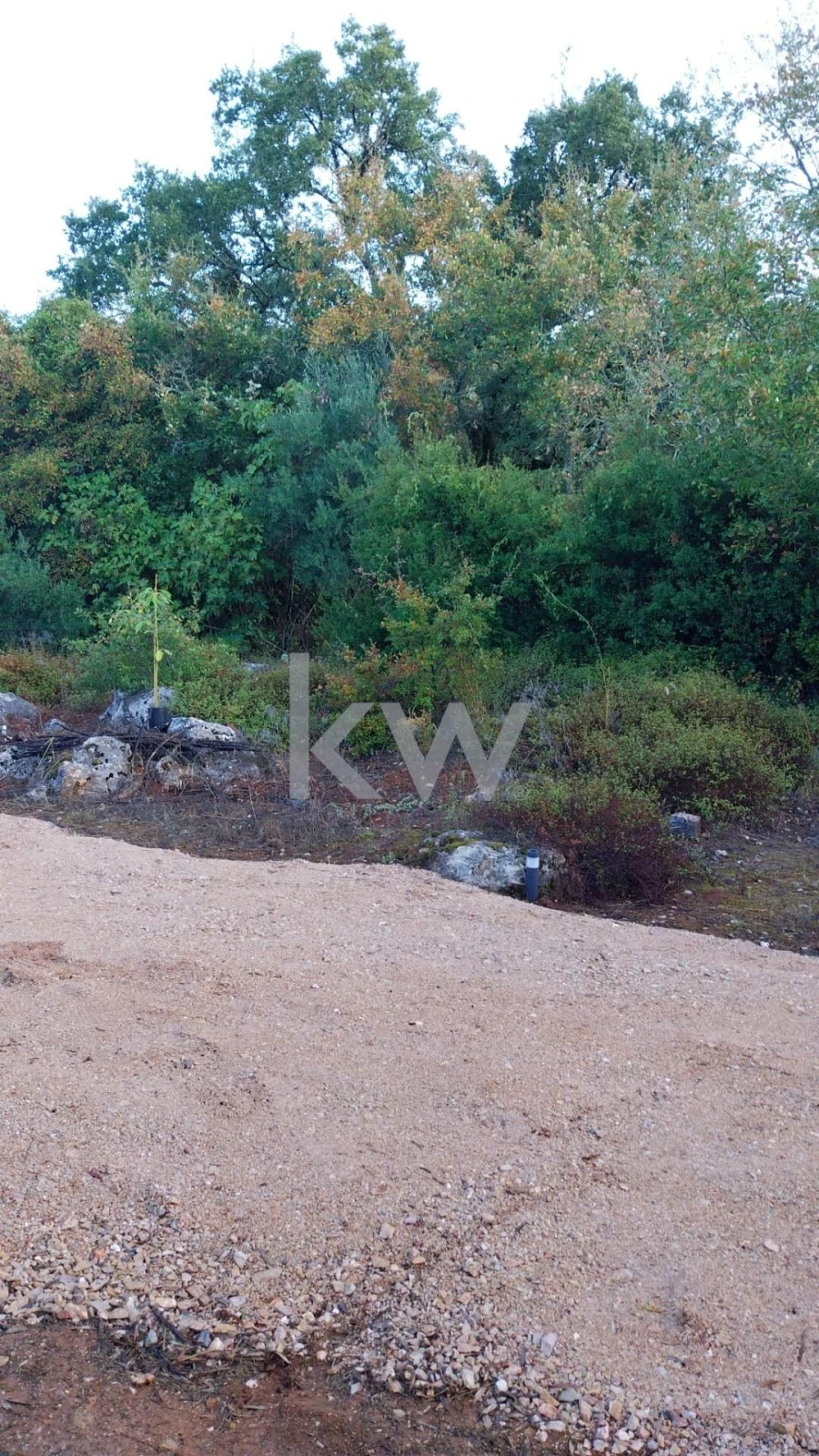 Terreno para Venda em São Miguel, Santa Eufémia e Rabaçal Foto 21