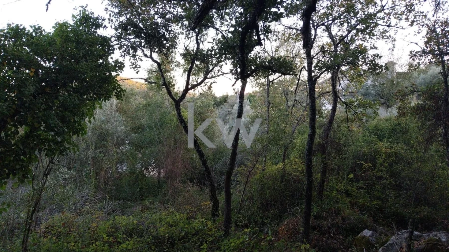 Terreno para Venda em São Miguel, Santa Eufémia e Rabaçal Foto 10