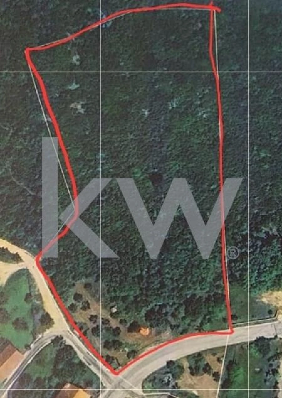 Terreno para Venda em São Miguel, Santa Eufémia e Rabaçal Foto 12