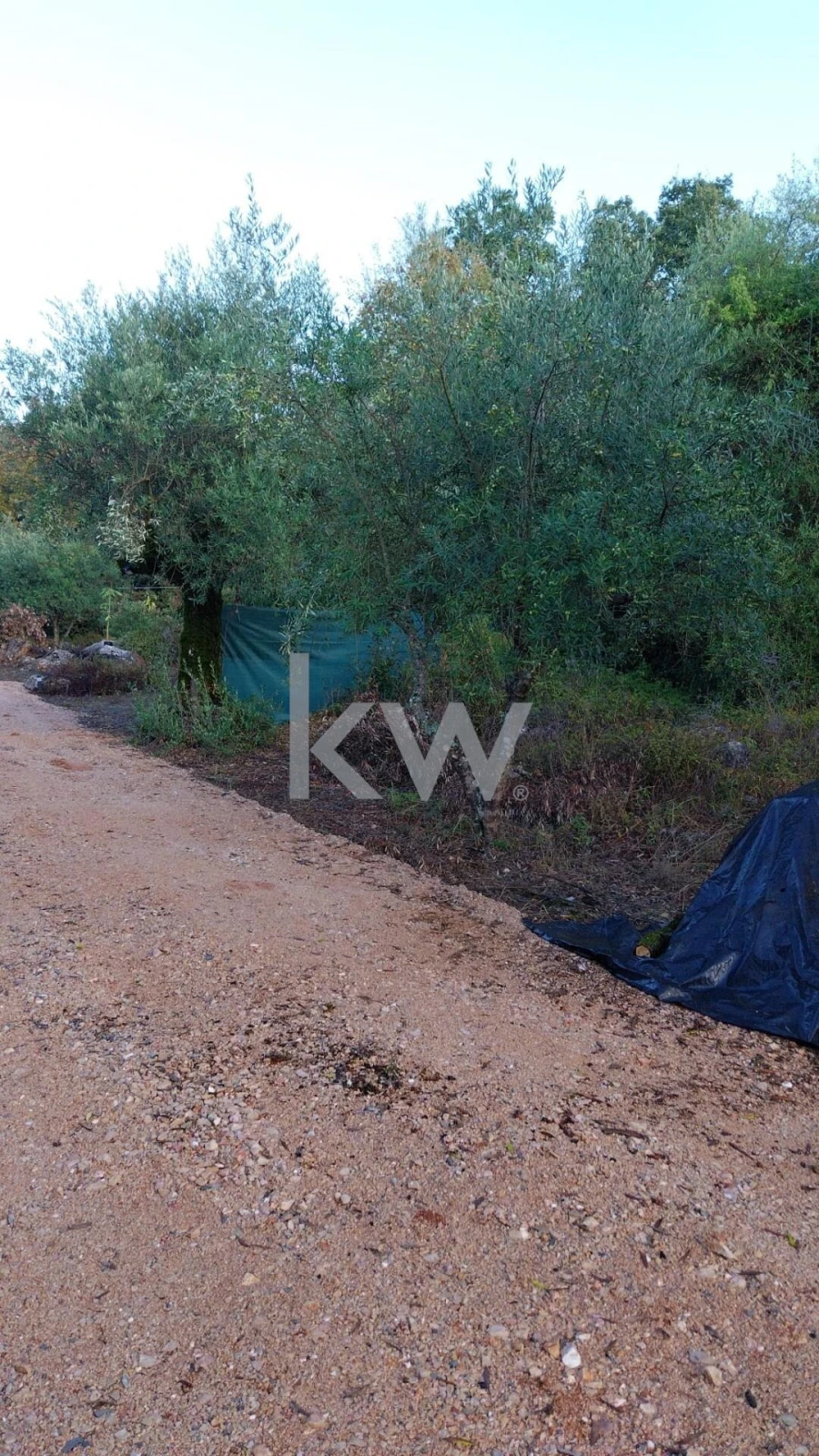 Terreno para Venda em São Miguel, Santa Eufémia e Rabaçal Foto 22