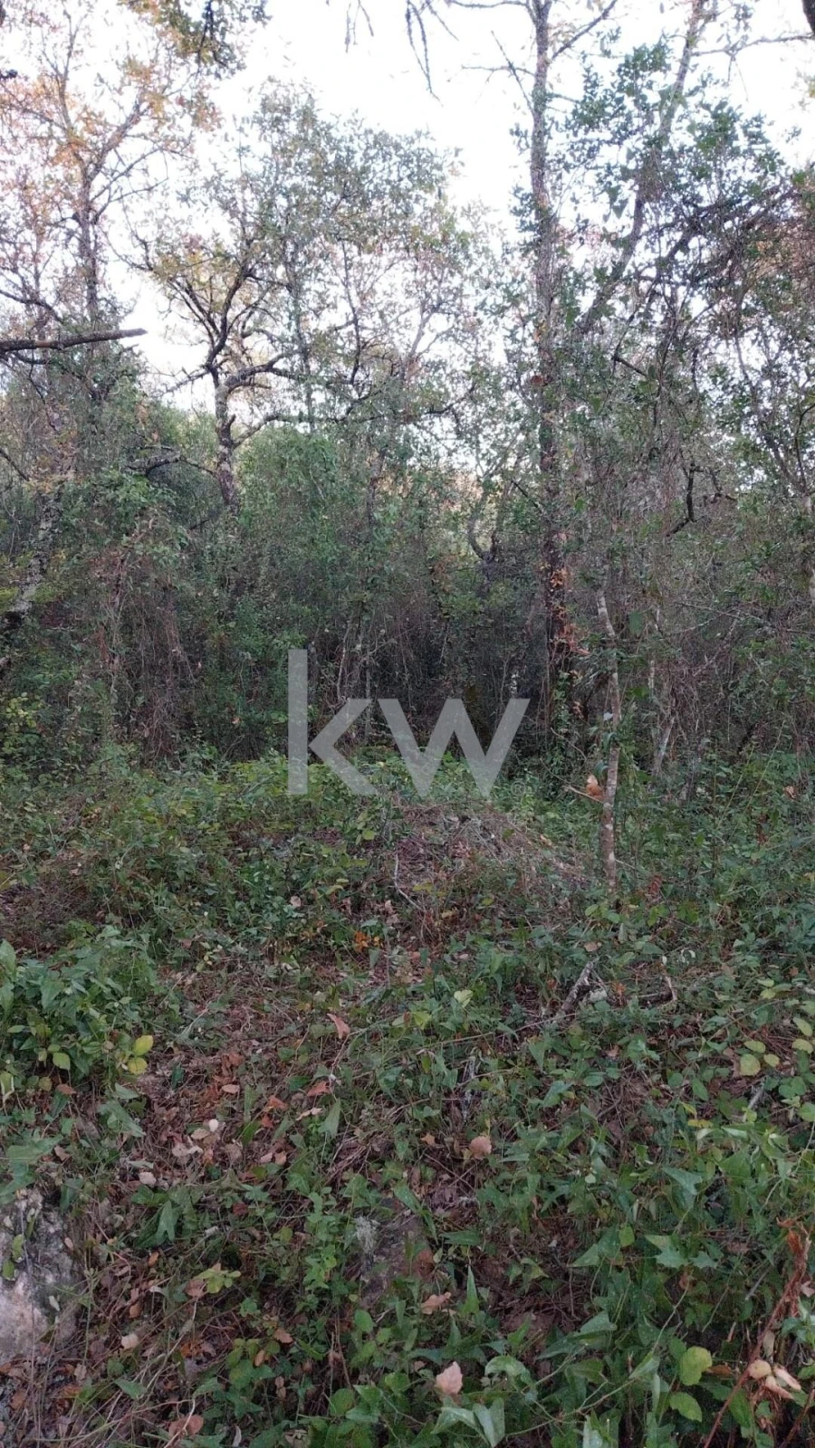 Terreno para Venda em São Miguel, Santa Eufémia e Rabaçal Foto 17