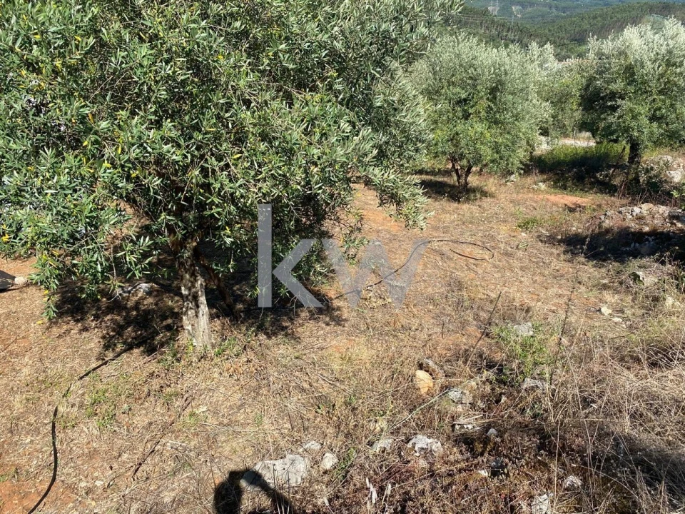 Terreno para Venda em São Miguel, Santa Eufémia e Rabaçal Foto 7