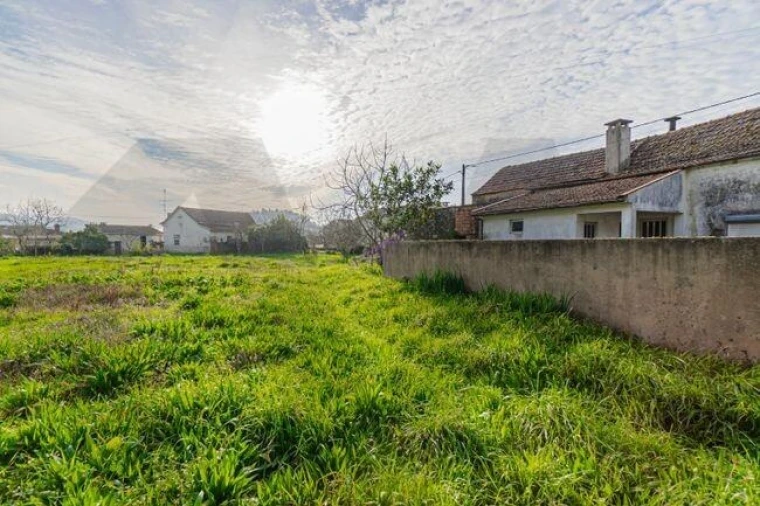 Quinta T3 para Venda em O. Azeméis, Riba-Ul, Ul, Macinhata Seixa, Madail Foto 9