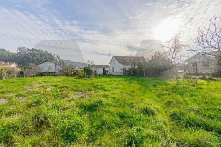 Quinta T3 para Venda em O. Azeméis, Riba-Ul, Ul, Macinhata Seixa, Madail Foto 6