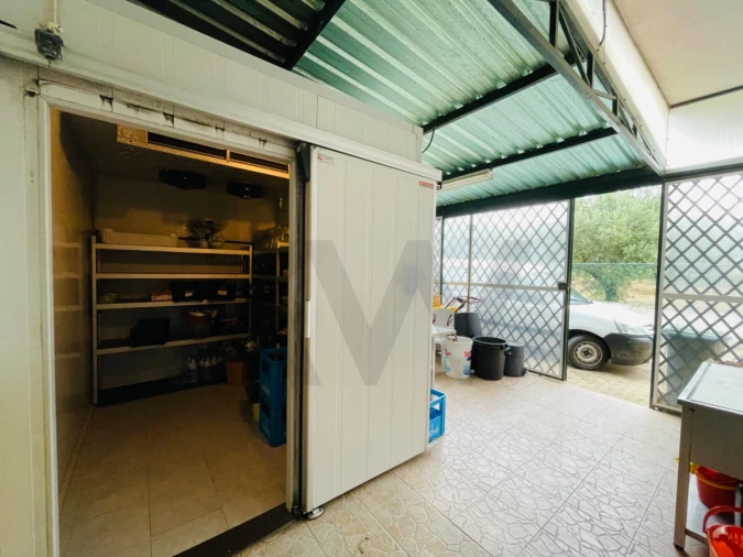 Quinta T5 para Venda em São Pedro de Tomar Foto 67