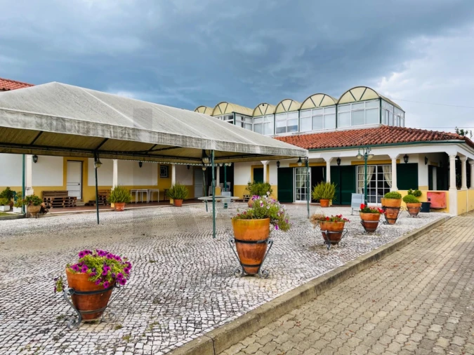 Quinta T5 para Venda em São Pedro de Tomar Foto 18