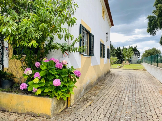 Quinta T5 para Venda em São Pedro de Tomar Foto 50