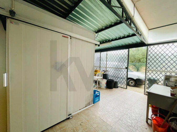 Quinta T5 para Venda em São Pedro de Tomar Foto 66