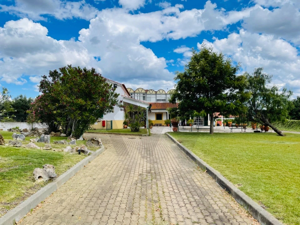 Quinta T5 para Venda em São Pedro de Tomar Foto 26