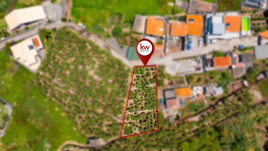 Terreno para Venda em Ribeira Brava Foto 4