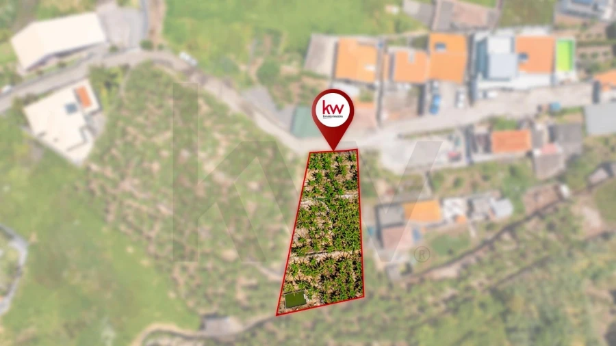 Terreno para Venda em Ribeira Brava Foto 3