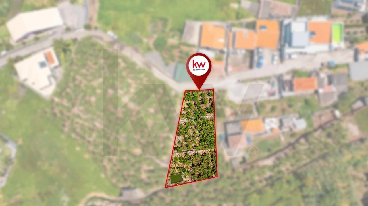 Terreno para Venda em Ribeira Brava Foto 3