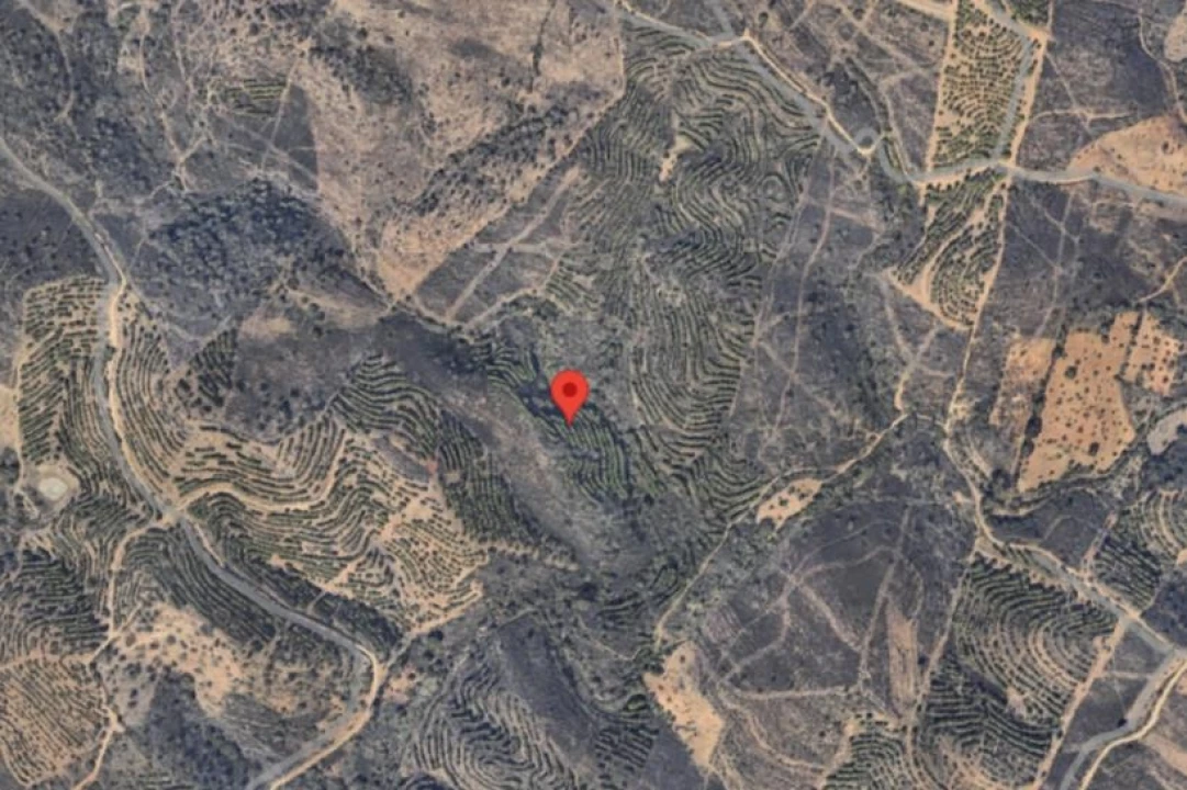 Terreno para Venda em Alcoutim e Pereiro Foto 2