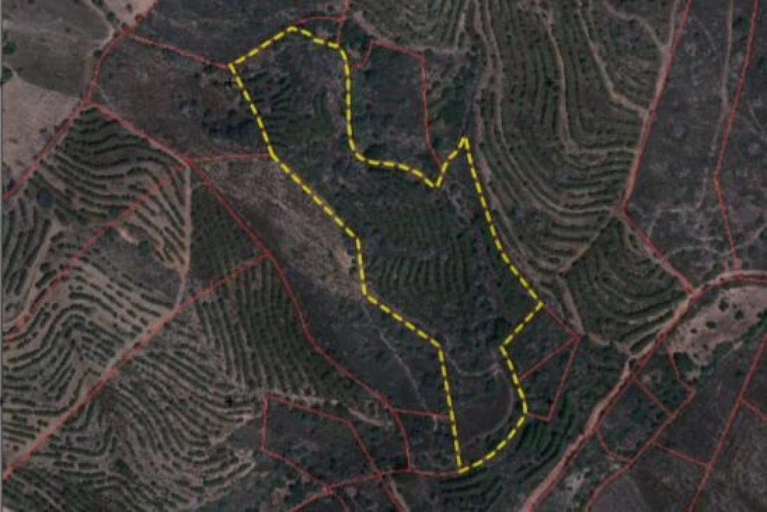 Terreno para Venda em Alcoutim e Pereiro Foto 1