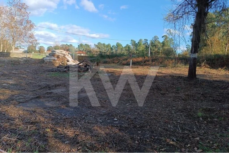 Terreno para Venda em Vila de Prado Foto 10