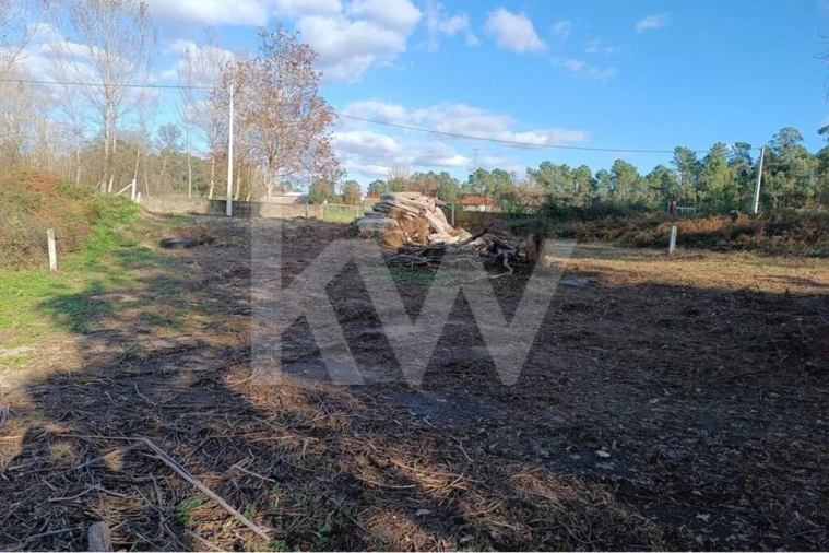 Terreno para Venda em Vila de Prado Foto 9