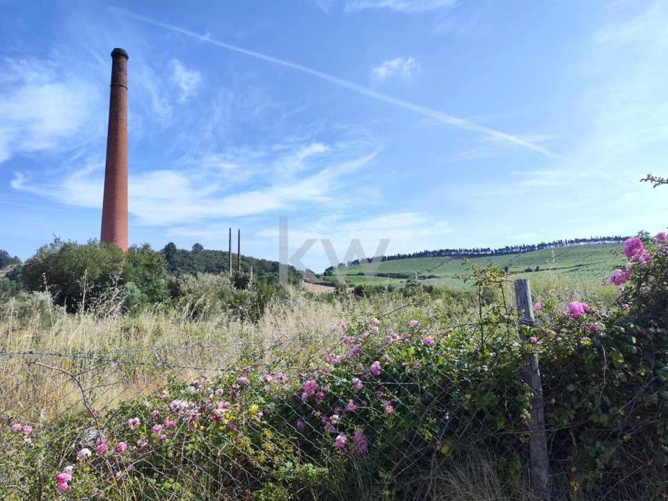 Terreno para Venda em Aldeia Galega da Merceana e Aldeia Gavinha Foto 4