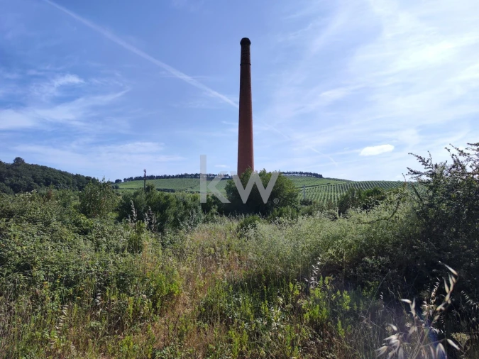Terreno para Venda em Aldeia Galega da Merceana e Aldeia Gavinha Foto 3