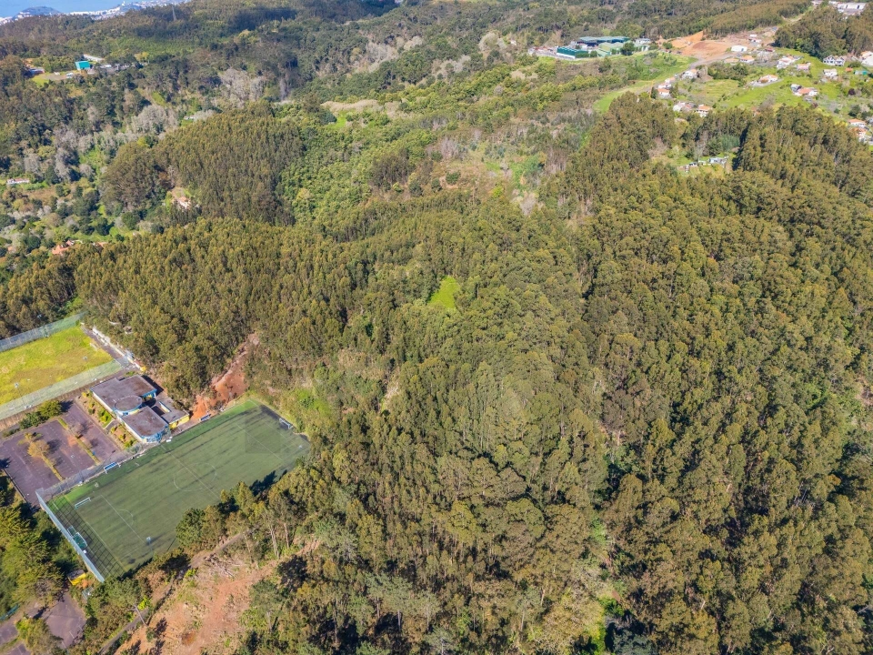 Terreno para Venda em Camacha Foto 11