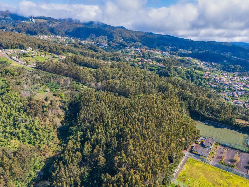 Terreno para Venda em Camacha Foto 6