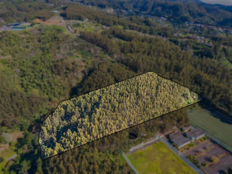 Terreno para Venda em Camacha Foto 3