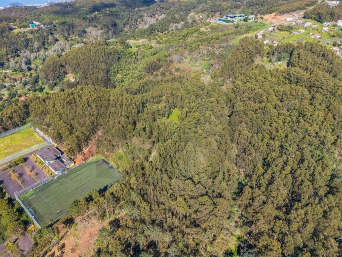 Terreno para Venda em Camacha Foto 11