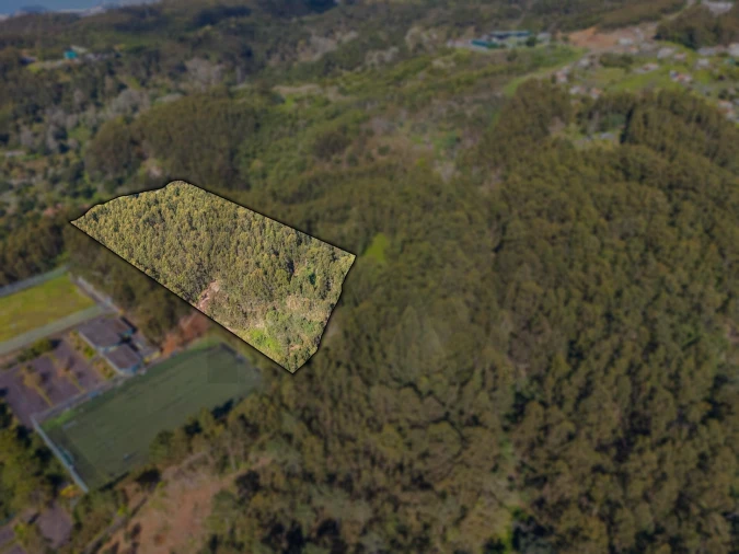 Terreno para Venda em Camacha Foto 10