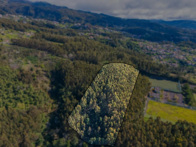 Terreno para Venda em Camacha Foto 7