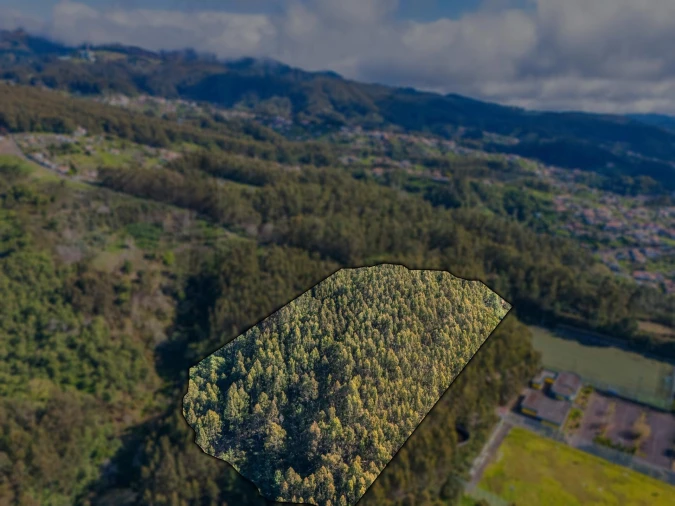 Terreno para Venda em Camacha Foto 5