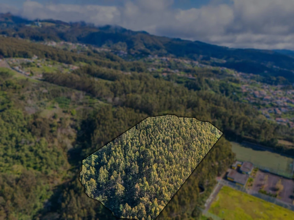 Terreno para Venda em Camacha Foto 5