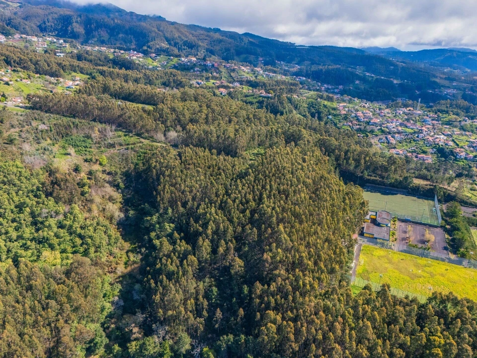Terreno para Venda em Camacha Foto 8