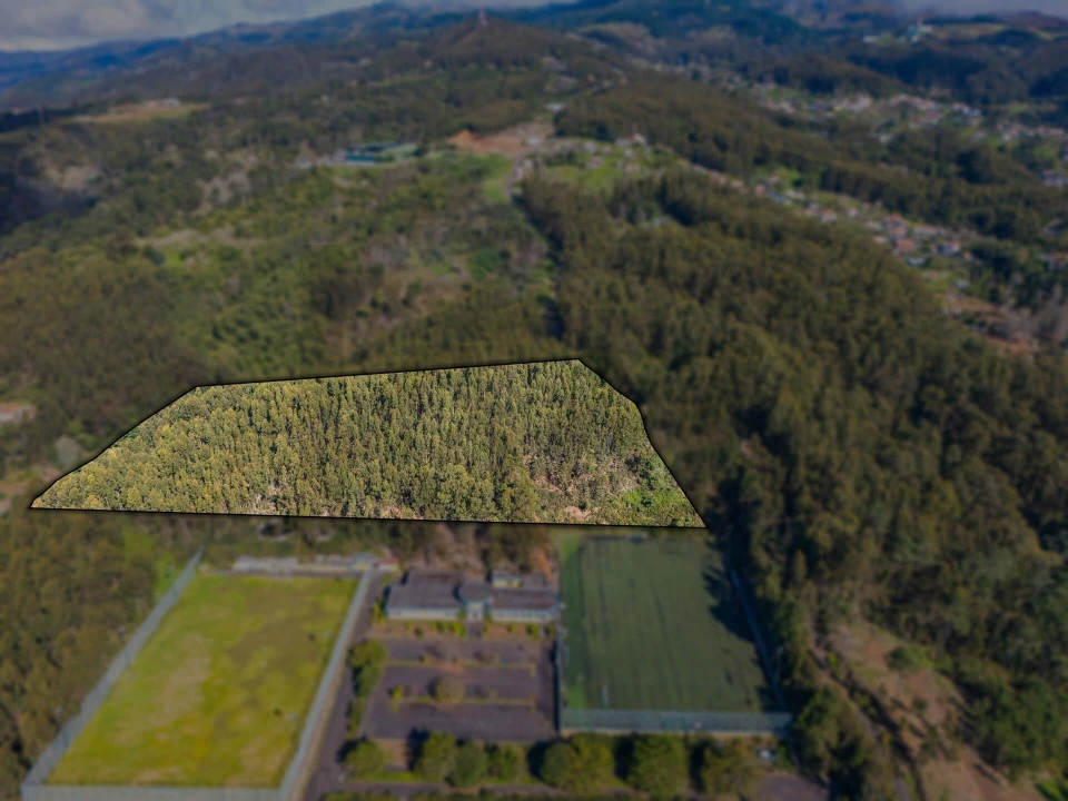 Terreno para Venda em Camacha Foto 1