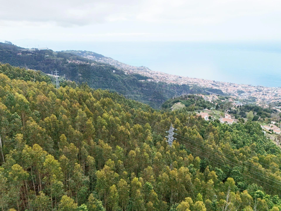 Terreno para Venda em Monte Foto 7