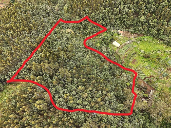 Terreno para Venda em Monte Foto 4