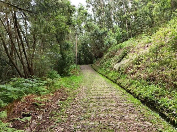 Terreno para Venda em Monte Foto 3