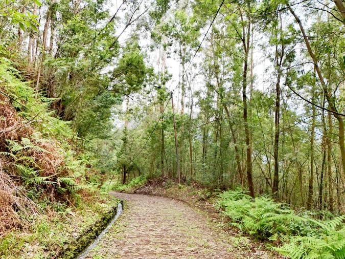 Terreno para Venda em Monte Foto 6