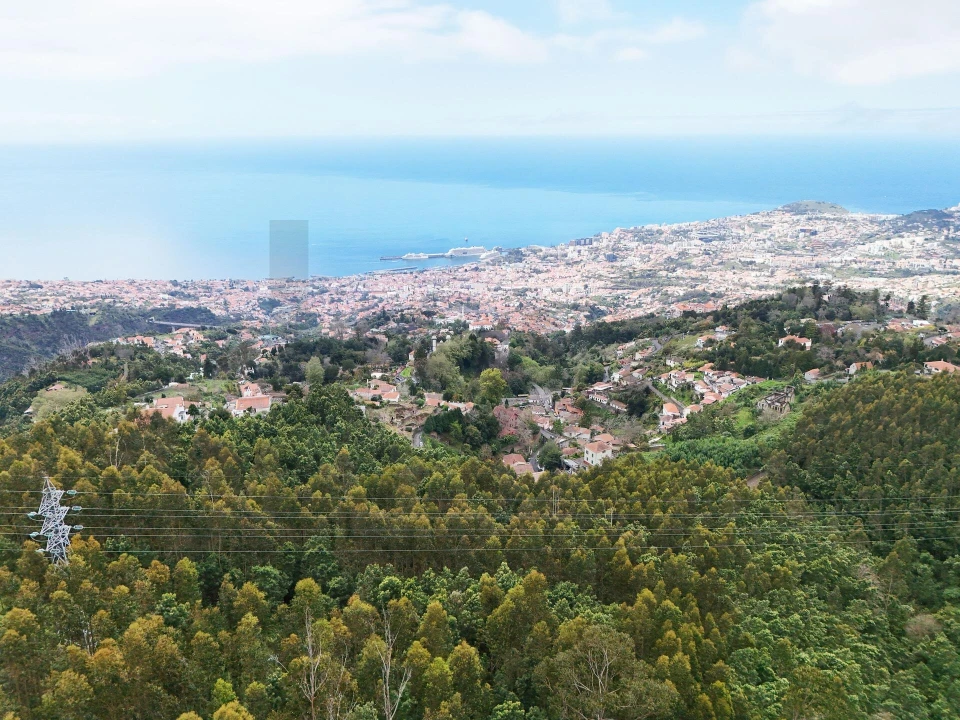 Terreno para Venda em Monte Foto 1