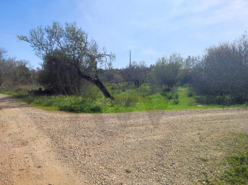 Terreno para Venda em São Bartolomeu de Messines Foto 8