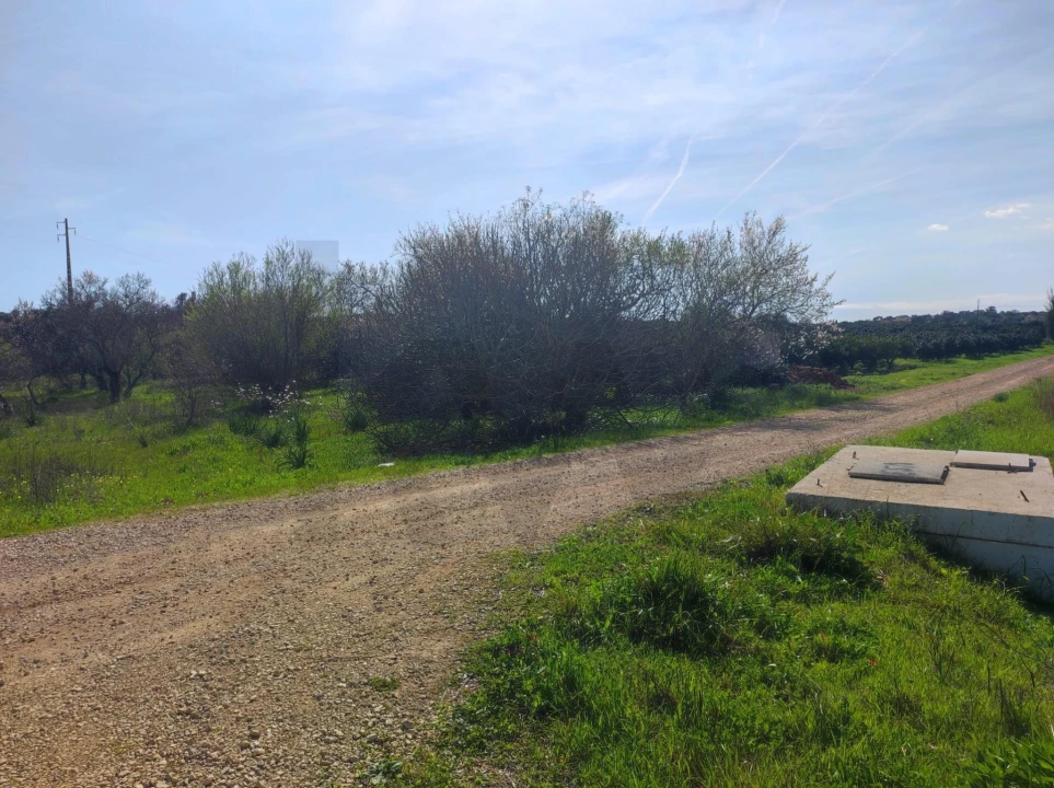 Terreno para Venda em São Bartolomeu de Messines Foto 7
