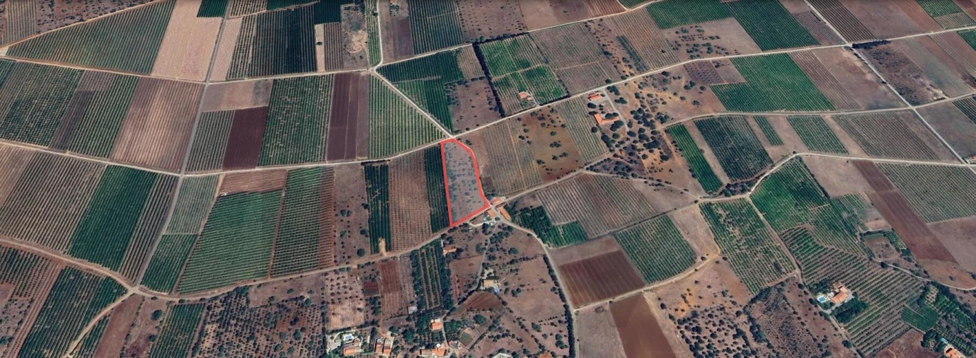 Terreno para Venda em São Bartolomeu de Messines Foto 10