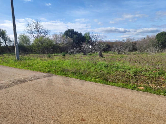 Terreno para Venda em São Bartolomeu de Messines Foto 1