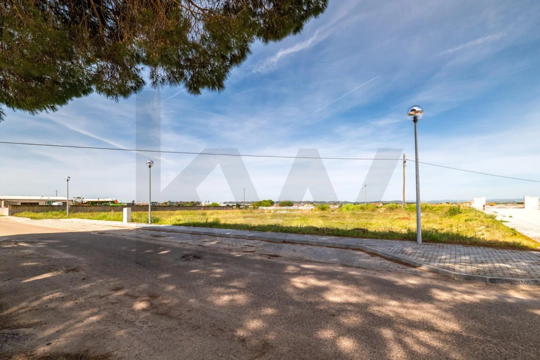 Terreno para Venda em Alpiarça Foto 9