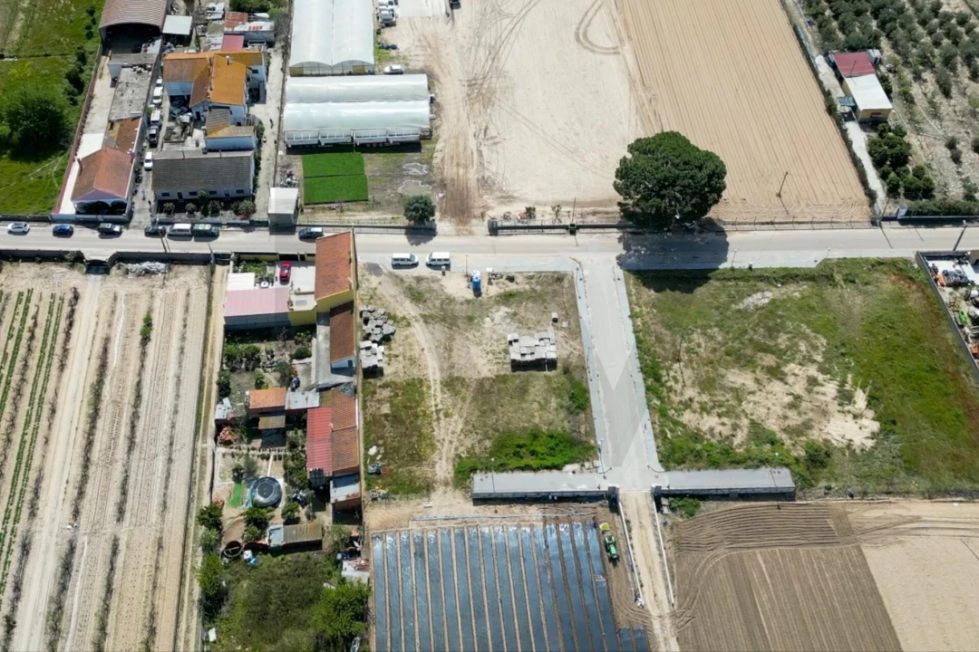Terreno para Venda em Alpiarça Foto 3