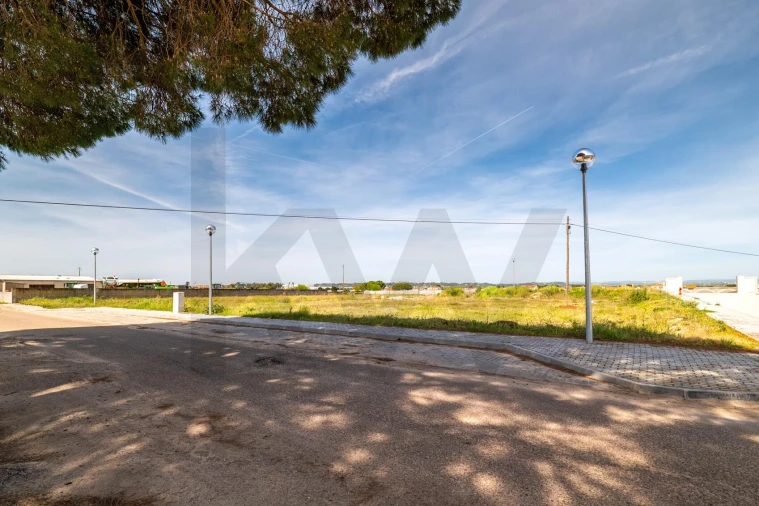 Terreno para Venda em Alpiarça Foto 9