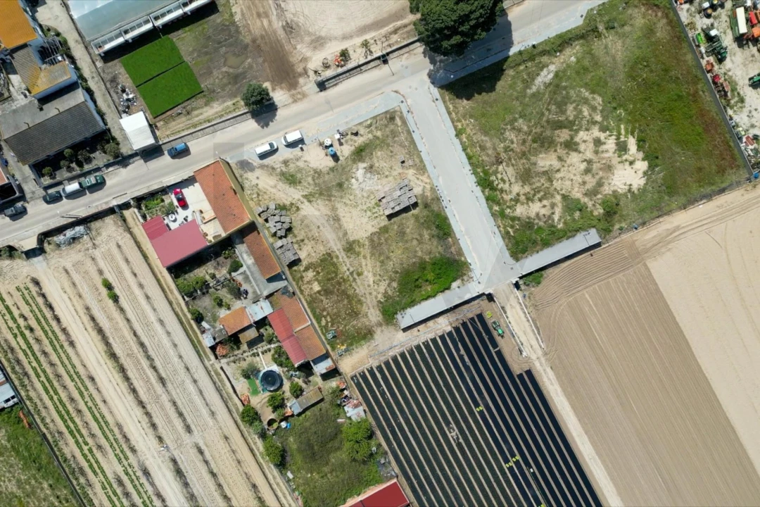 Terreno para Venda em Alpiarça Foto 6